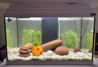 Acuario 55 litros blanco