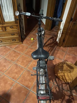 Bicicleta eléctrica paseo