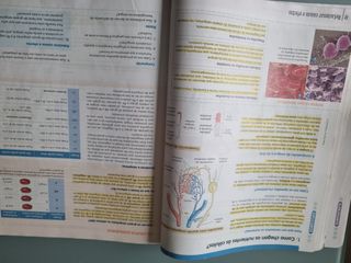 Música 3 ESO nivel II