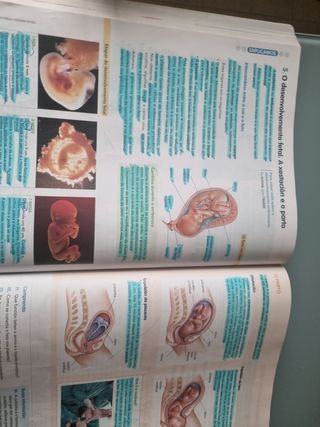 Música 3 ESO nivel II