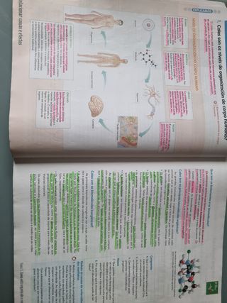 Música 3 ESO nivel II