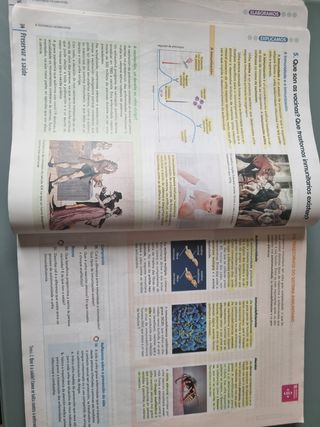 Música 3 ESO nivel II