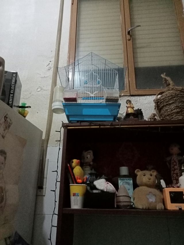 Jaula pajaros azul y blanca