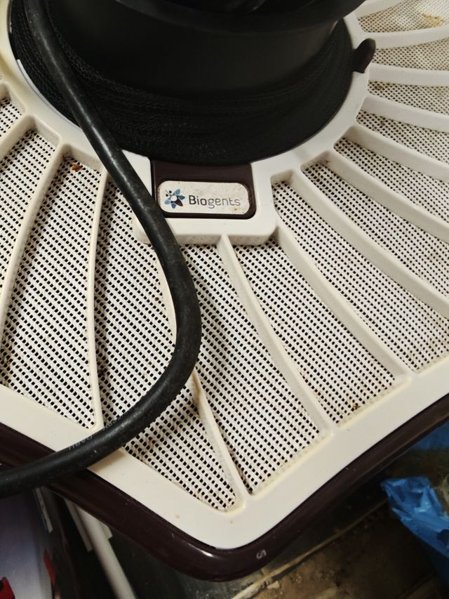 Antimosquitos por succión: Interior/Exterior