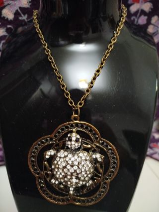 Collar tortuga plata brillante