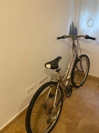 Bicicleta montaña adulto