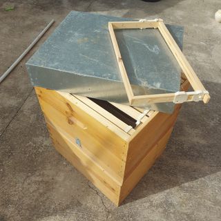 Colmena abejas 2 pisos
