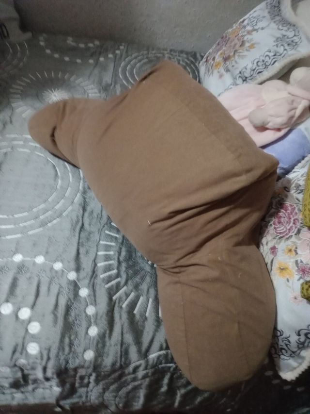 Cojín lectura marrón - Suave de plumas