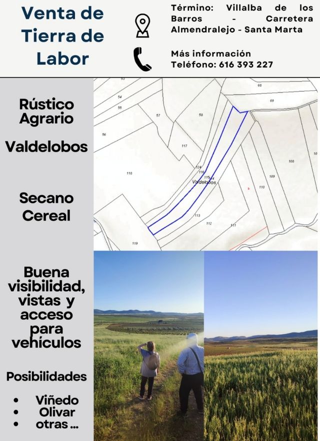 Finca rústica en Villalba-Almendralejo