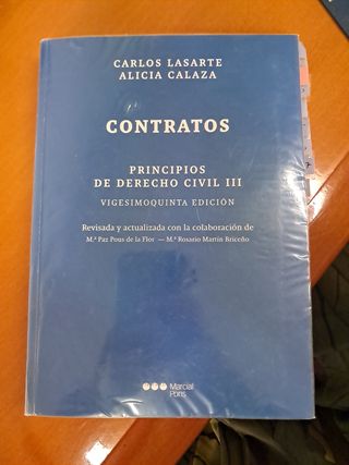 Principios de Derecho Civil. Tomo III: Tomo III...