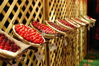 Terreno en venta en Torrelles de Llobregat