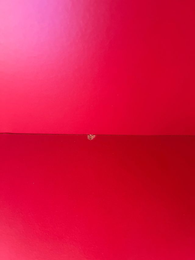 Estantería Billy roja IKEA