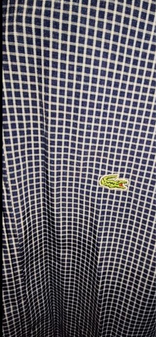 Camisa Lacoste manga larga talla 39. 