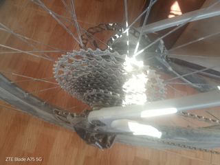 Bici mtb NTT