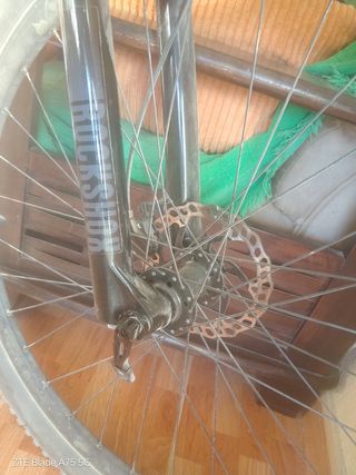 Bici mtb NTT