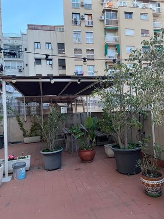 Pérgola jardín - Sombra caña bambú