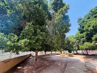 Piso en venta en Orihuela ciudad en Orihuela