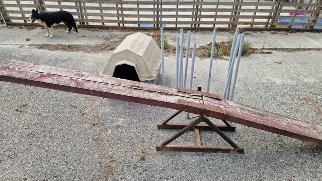 Balancín y slalom: 12 barras iniciación agility