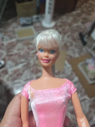 Muñeca Barbie + Ropa Skipper