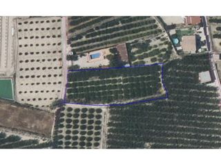 Terreno en venta en Archena