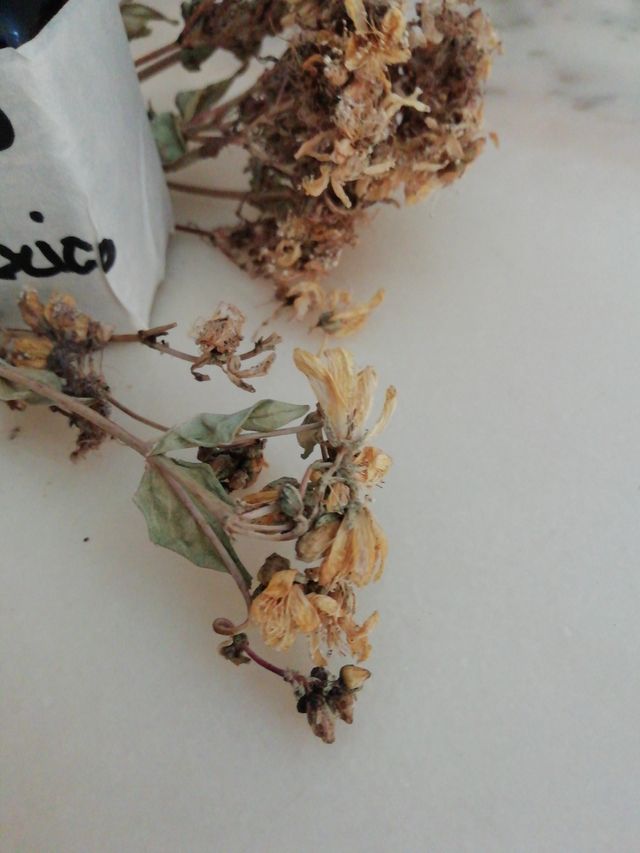 Olio Iperico - Olio essenziale