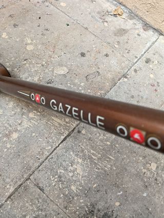 Cuadro bici Gazelle antiguo