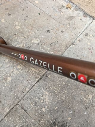 Cuadro bici Gazelle antiguo