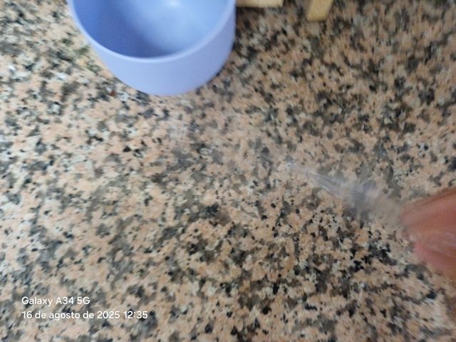 Funda Transparente Nintendo Switch