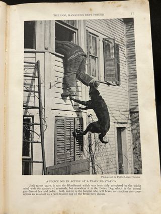 The Book of Dogs, 1927 National Geographic Society