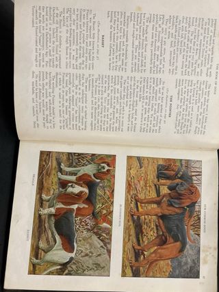 The Book of Dogs, 1927 National Geographic Society