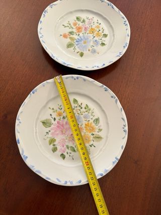 2 Piatti Vintage Dipinti a Mano