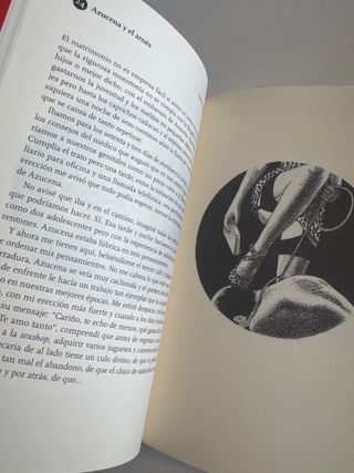 Libro: El libro del voyeur de Pablo Gallo