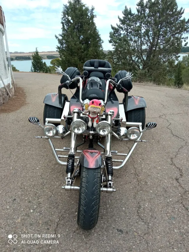 TRIKER con BOLA de enganche homologada