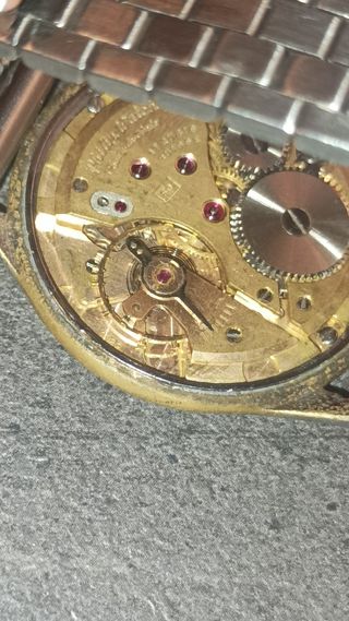 Philip Watch vintage anni '60