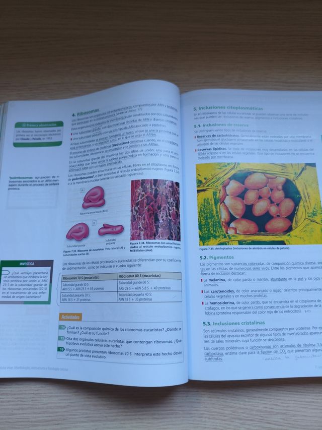 Inicia Biología 2.º Bachillerato. Libro del alumno