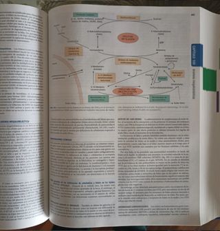 MEDICINA INTERNA Harrison
