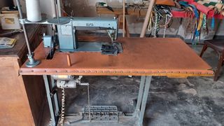 Máquina coser Alfa industrial