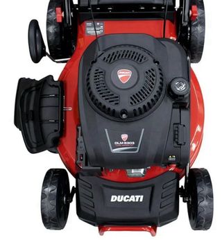 CORTACESPED GASOLINA DUCATI DLM5303 (OCASIÓN)