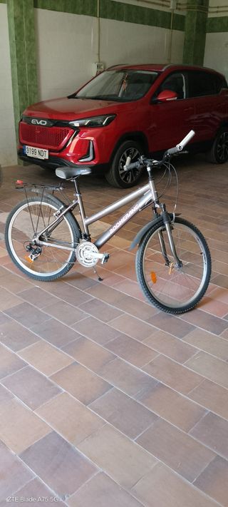 Bicicleta montaña Boomerang