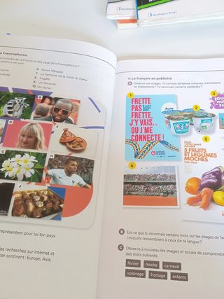 Les Blogueurs 1 A1.1 Livre ePk