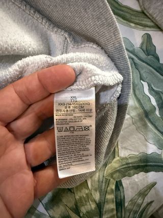 Sudadera GAP gris con capucha