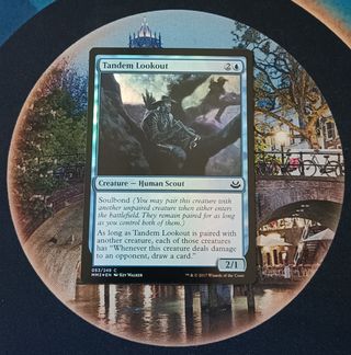 MAGIC FOIL - TANDEM LOOKOUT