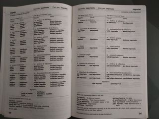 501 Spanish Verbs