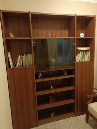 Librería madera 2 puertas cristal