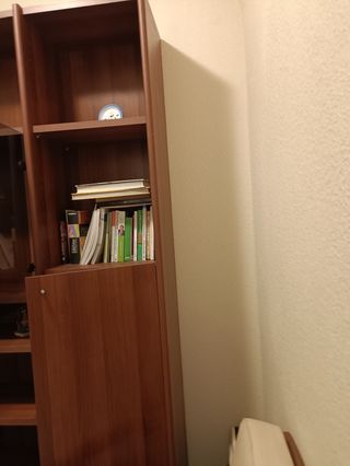 Librería madera 2 puertas cristal