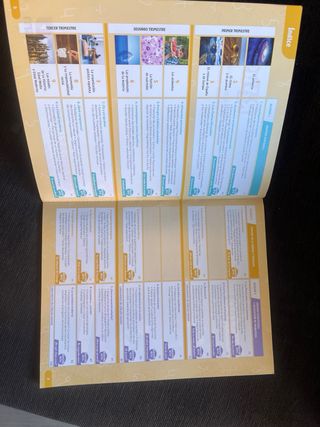 Libros Matemáticas SM REVUELA quinto de primaria 