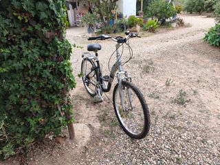 Bicicleta paseo ciudad 