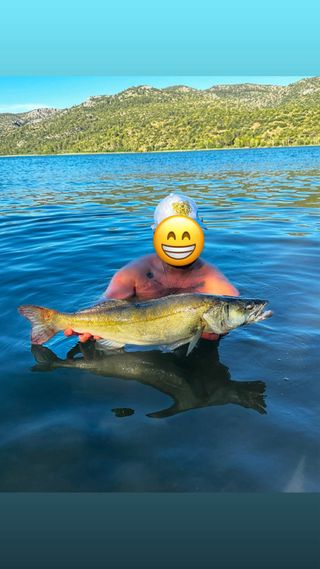 salidas de pesca 