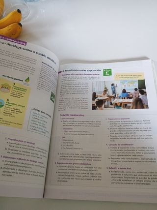 XEOGRAFIA E HISTORIA 1 (COMUNIDADE EN REDE)