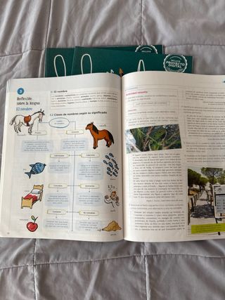 Lengua y Literatura 1.